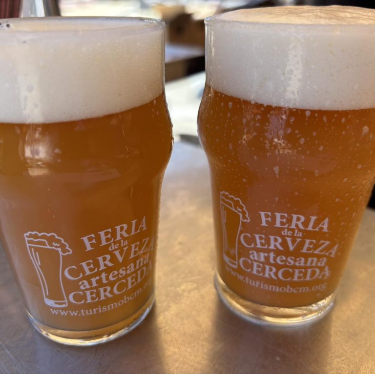 festival de la cerveza boalo cerceda y mataelpino 4